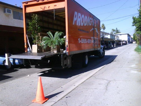 Truck Carrying Plants